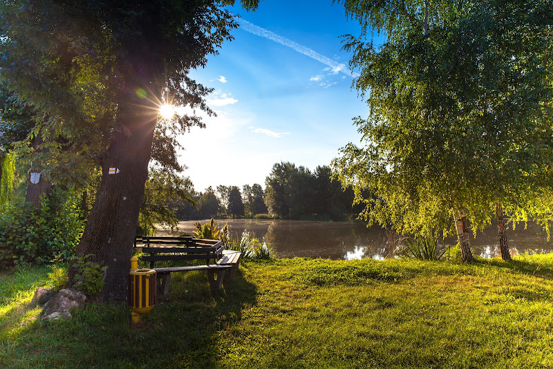 Jardin Service Laval - Louis Chabaille