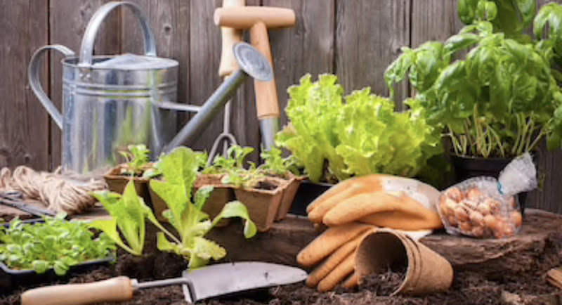 Jardin Service Laval - Louis Chabaille