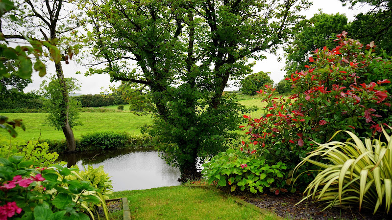 Jardin Service Laval - Louis Chabaille